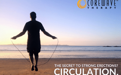 The Relationship Between Circulation and Erection Ability